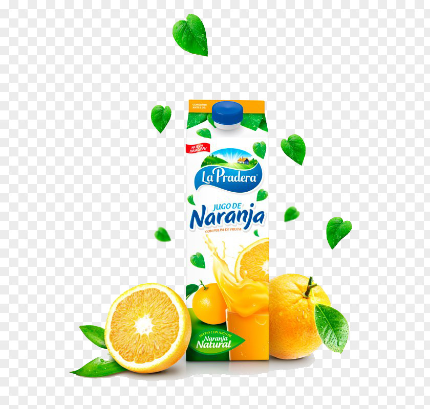 Juice Boxes Orange Packaging And Labeling Box PNG
