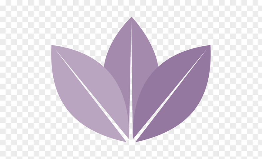 Leaf Graphics Petal PNG