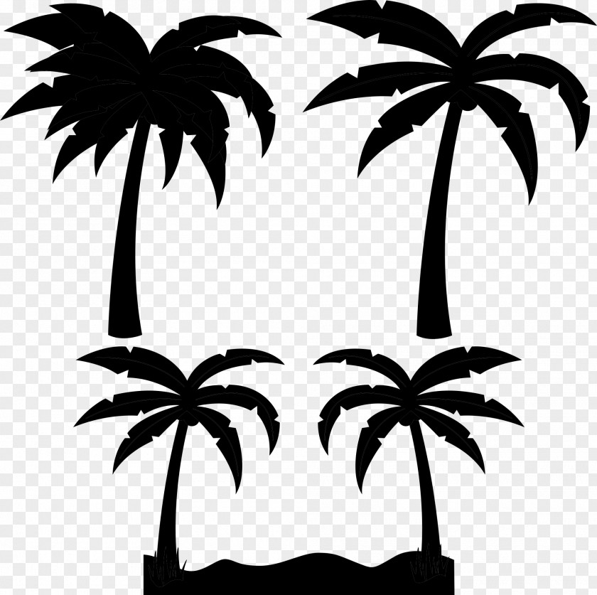 Palm Trees Clip Art Image Chamaedorea PNG