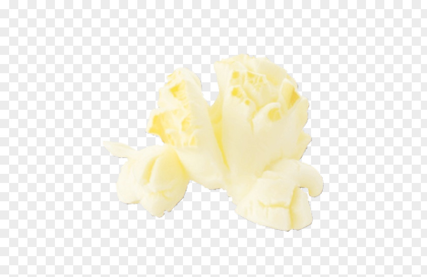 Popcorn Flavor PNG