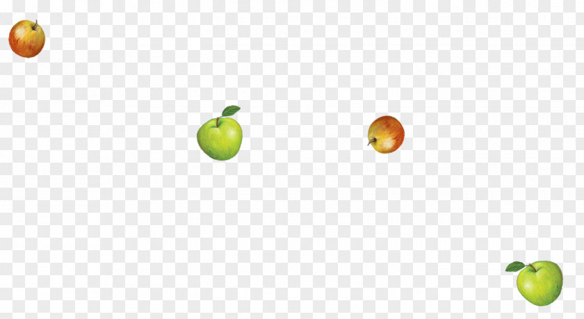 Apple Granny Smith Desktop Wallpaper Citrus Computer PNG