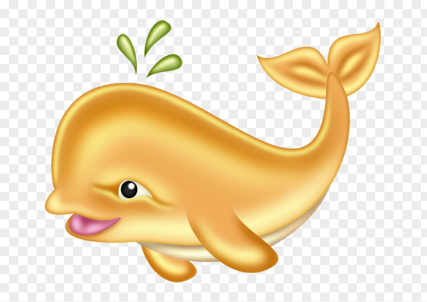 Dolphin Clip Art Image Whales PNG