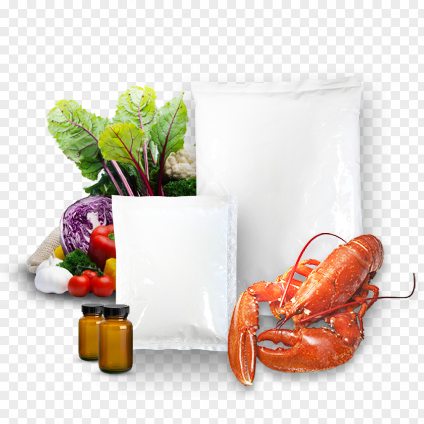 Lobster Ice Packs Frozen Food Gel PNG