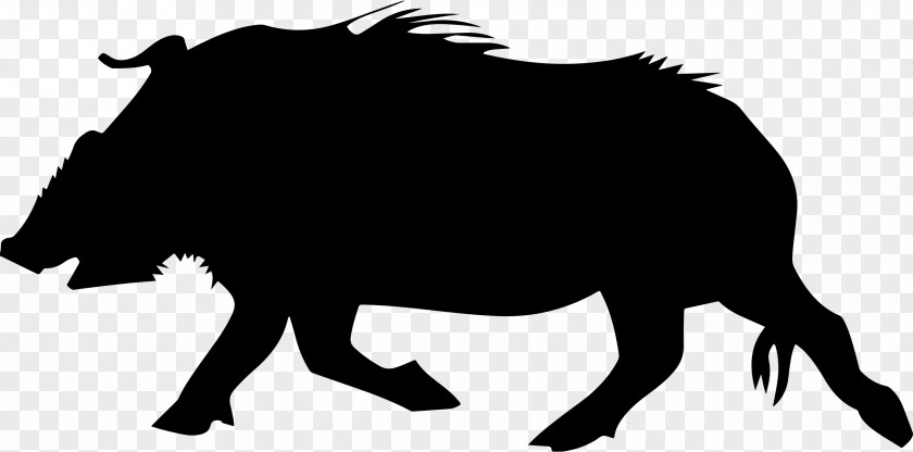 Wild Boar Common Warthog Hunting Clip Art PNG