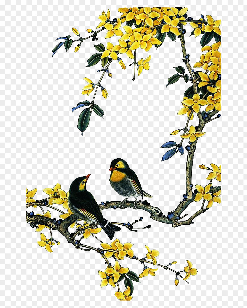 Chinese Painting Flowers And Birds Bird-and-flower PNG