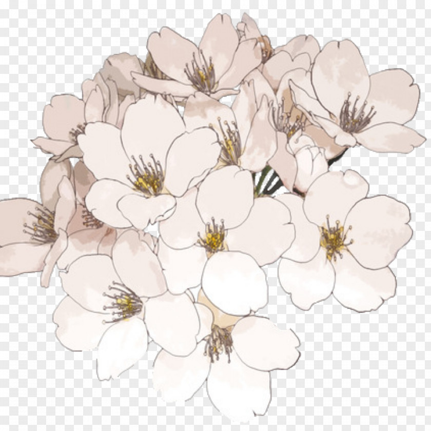 How To Draw A Flower Tumblr Transparency Clip Art Desktop Wallpaper PNG