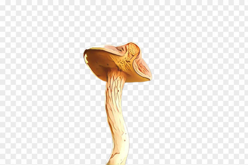 Joint Mushroom PNG