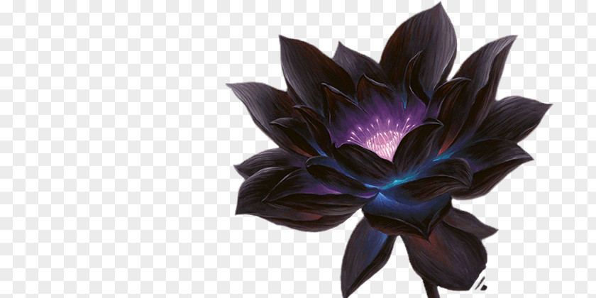 Magic: The Gathering Online Power Nine Black Lotus Magic Points PNG