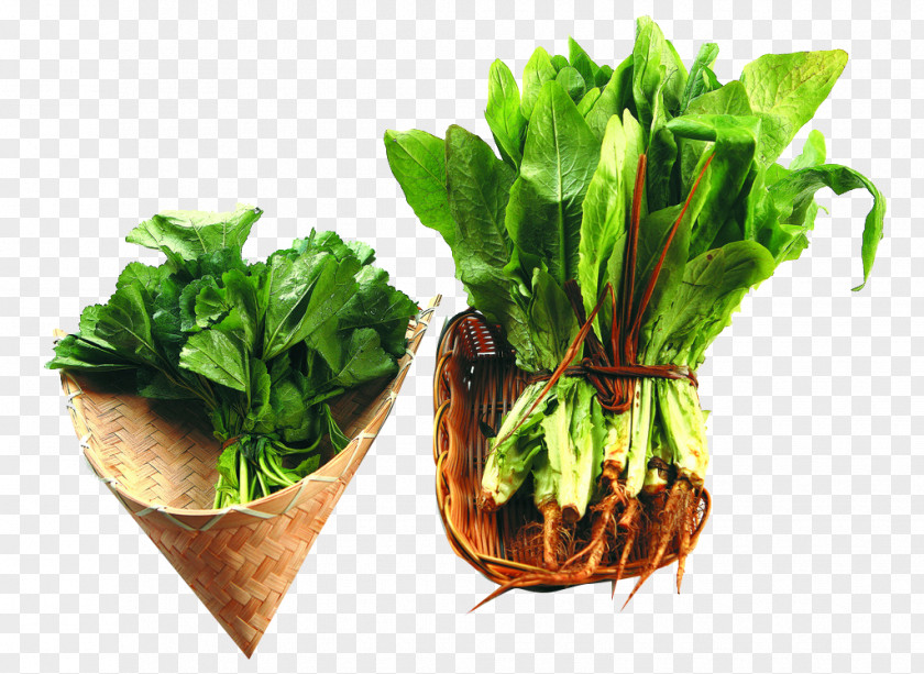 Seasonal Vegetables Chard Spring Greens Herb Food PNG