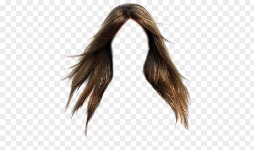 Tubs Hairstyle Wig PNG