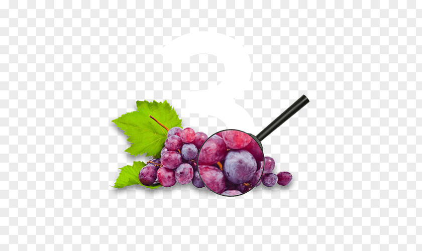 Wine Common Grape Vine Seed Extract Food PNG