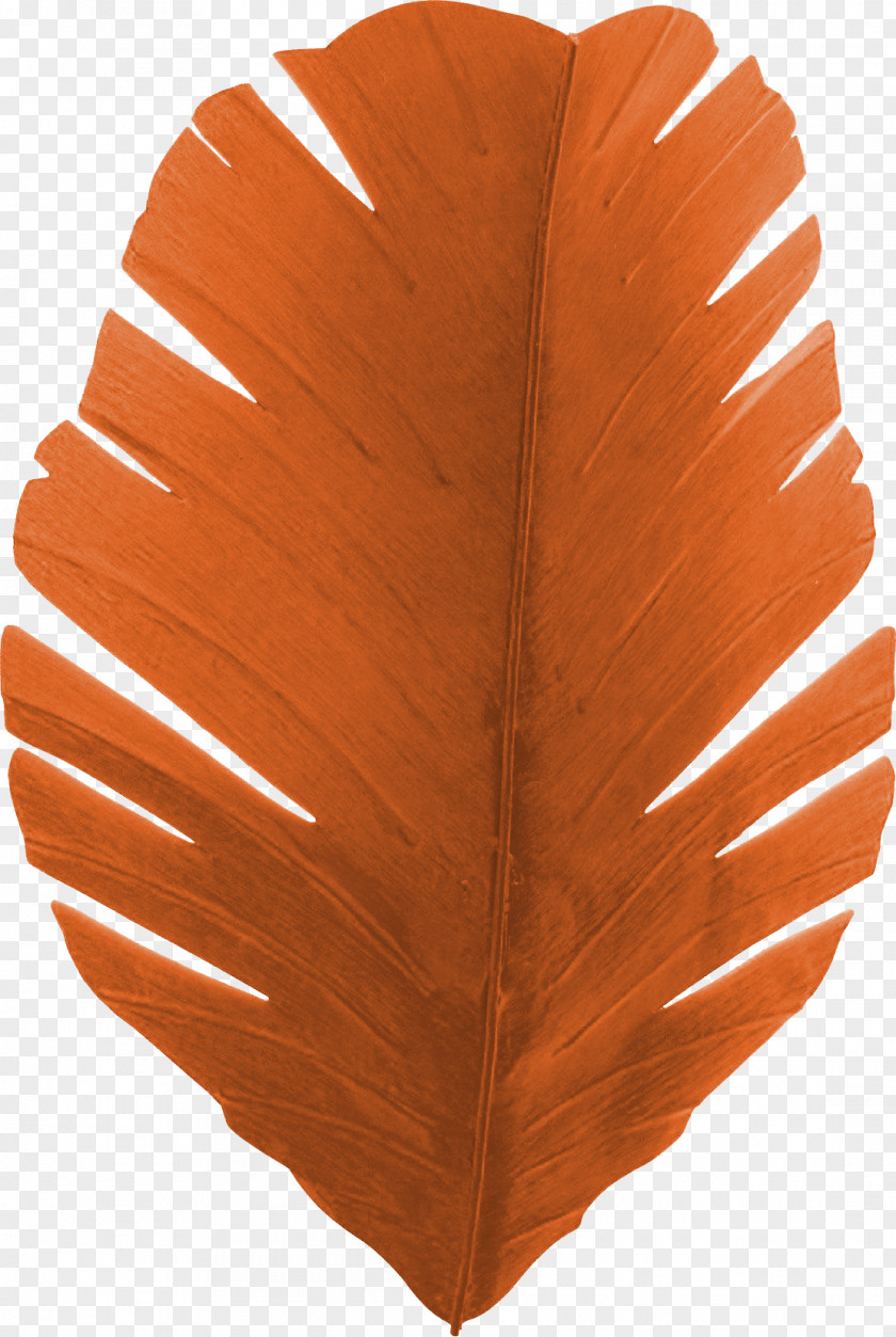 Beautiful Orange Feather Banana Leaf Light Sconce PNG