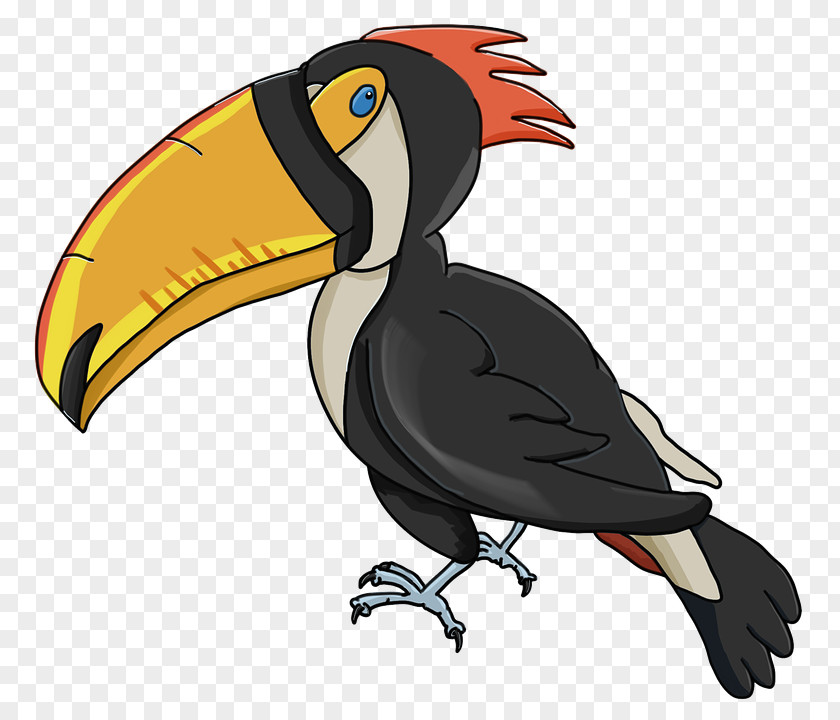 Bird Beak Parrot Clip Art PNG