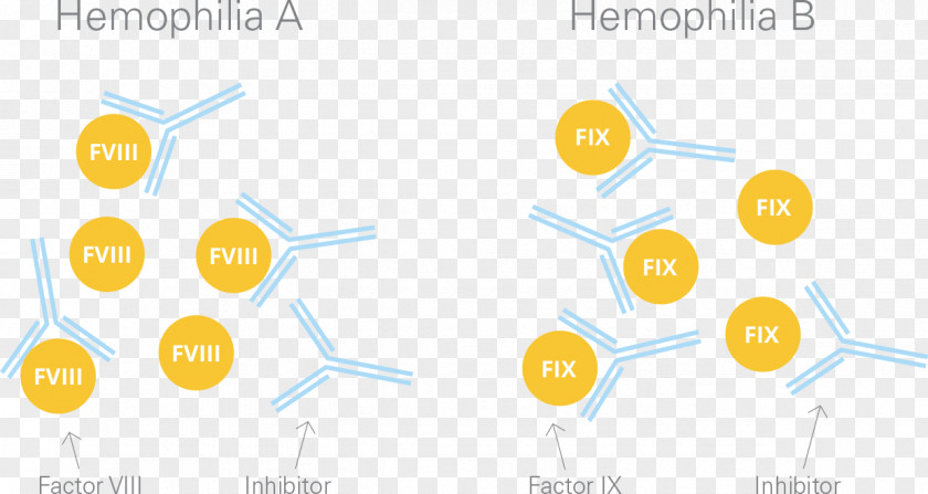 Cram Factor IX Coagulation Haemophilia B AlphaNine SD PNG