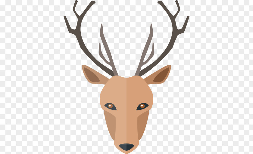 Deer Vector White-tailed Hunting PNG