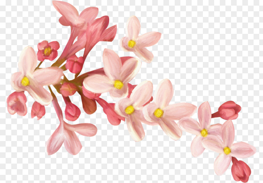 Hand-painted Flowers Pink Peach Branches Clip Art PNG