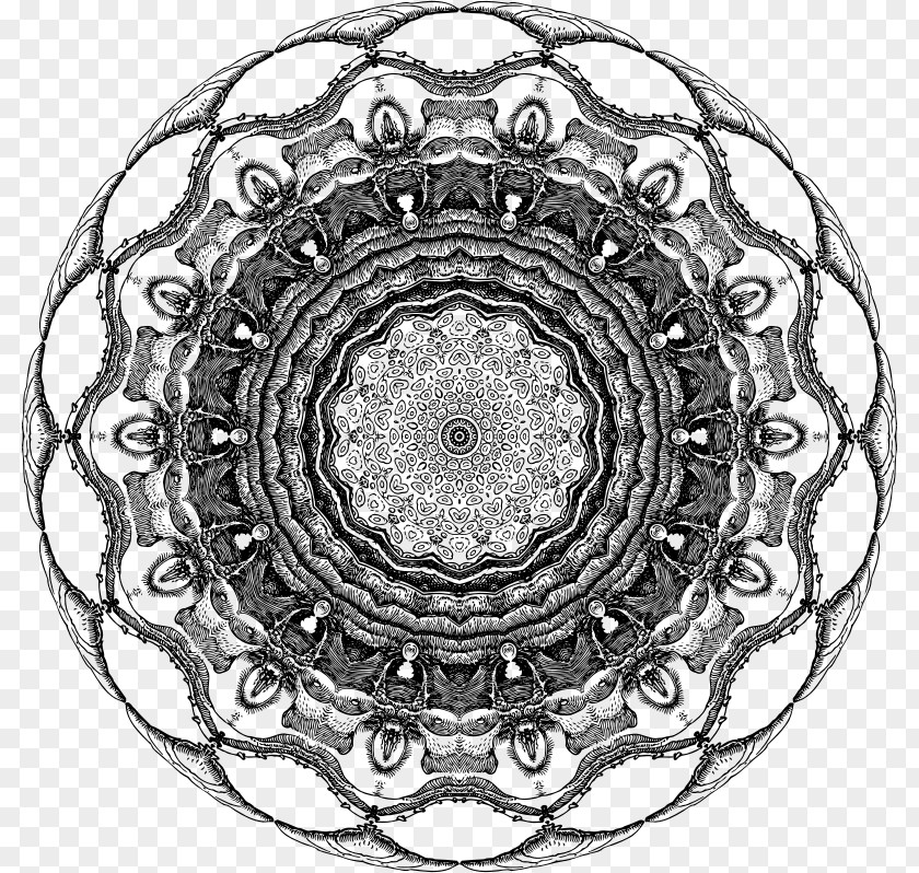 Mandala Design Symmetry White Pattern PNG
