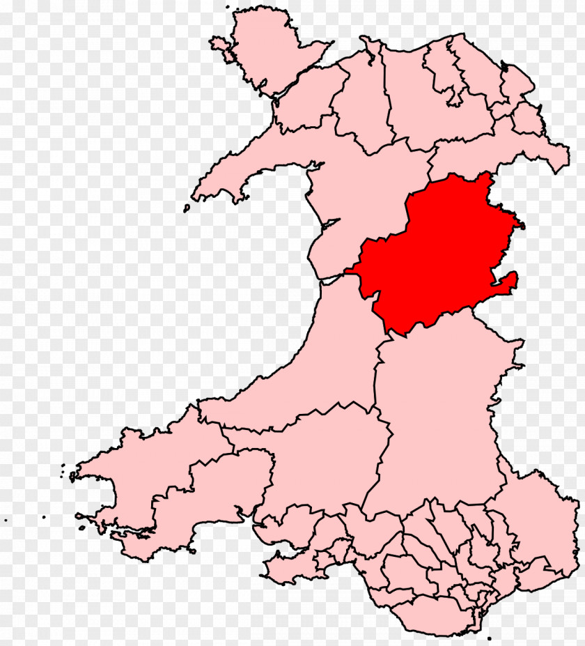 Map Wales Montgomeryshire Blaenau Gwent Rhondda Electoral District PNG