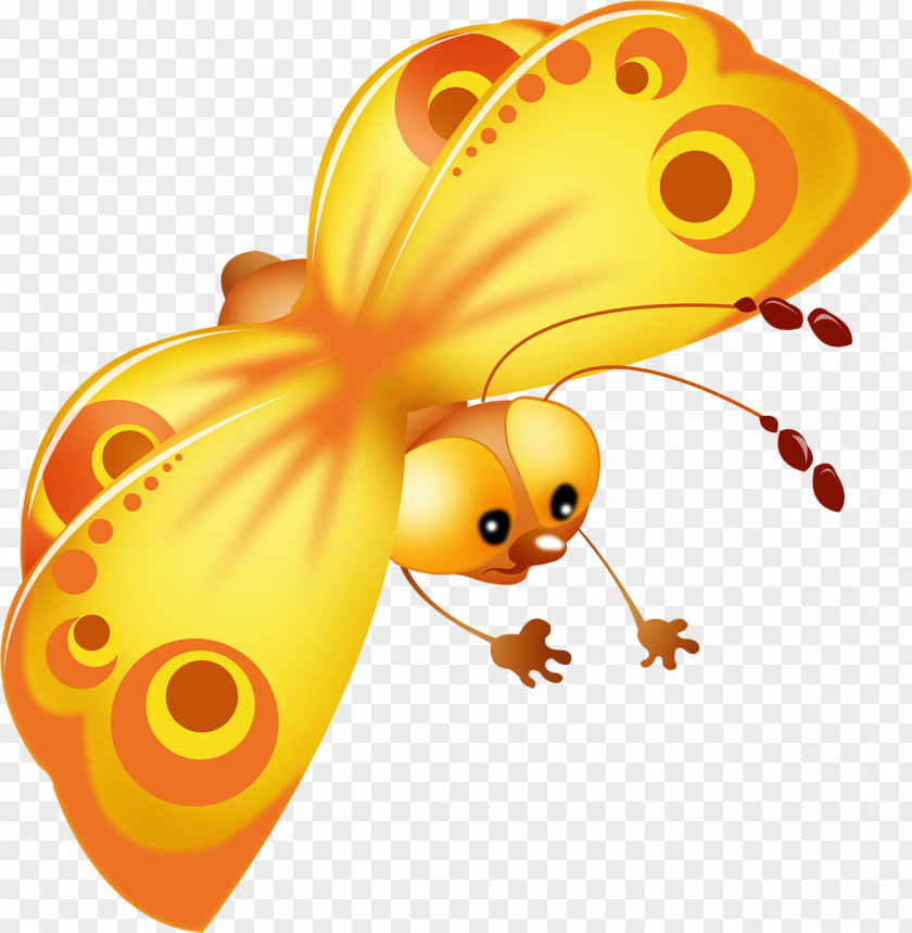 Rama Butterfly Insect Clip Art PNG