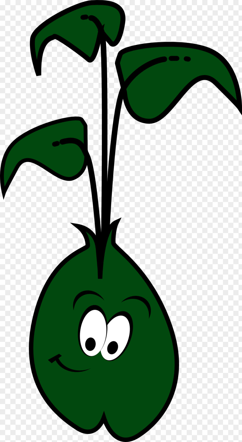 Bean Sprouting Brussels Sprout Clip Art PNG