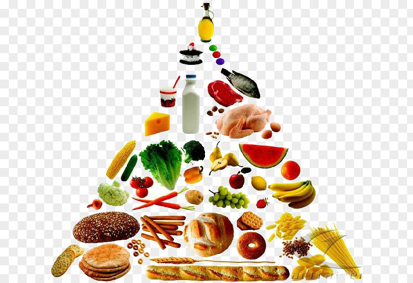 Food Pyramid Healthy Eating Nutrition Clip Art PNG