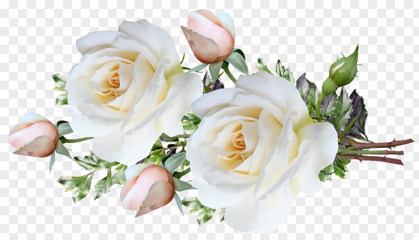 Garden Roses PNG