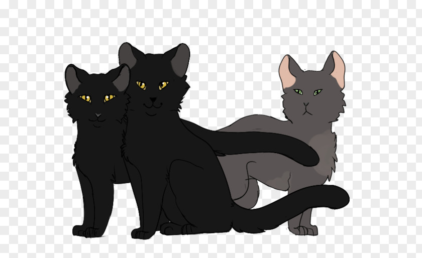 Kitten Bombay Cat Black Korat Domestic Short-haired PNG