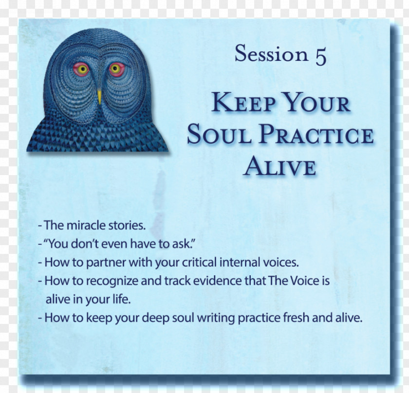 Session Writing Down Your Soul: How To Activate And Listen The Extraordinary Voice Within WAC Clearinghouse Writer PNG