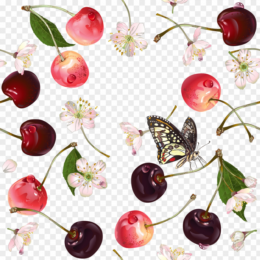 Sweet Cherry Fruit Vector Auglis Fundal PNG