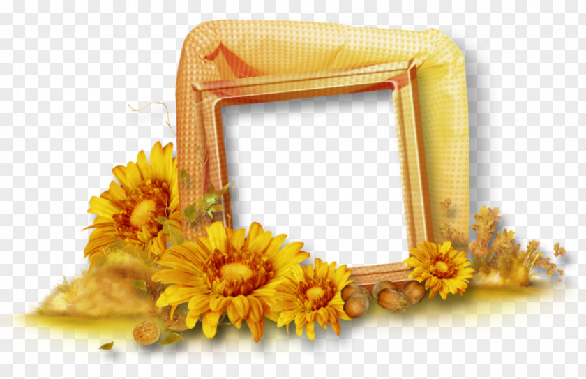 Three-dimensional Border Picture Frames Autumn Clip Art PNG