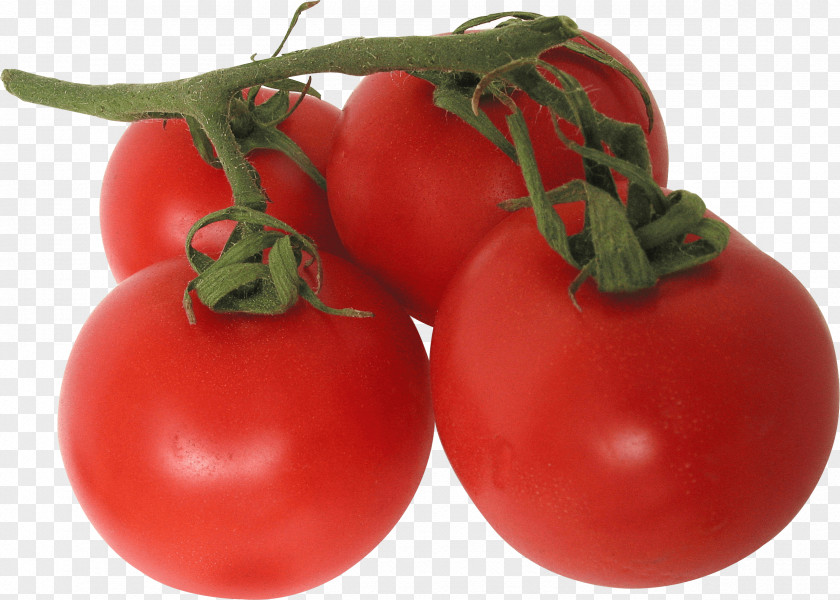 Tomato Image Vegetable Clip Art PNG