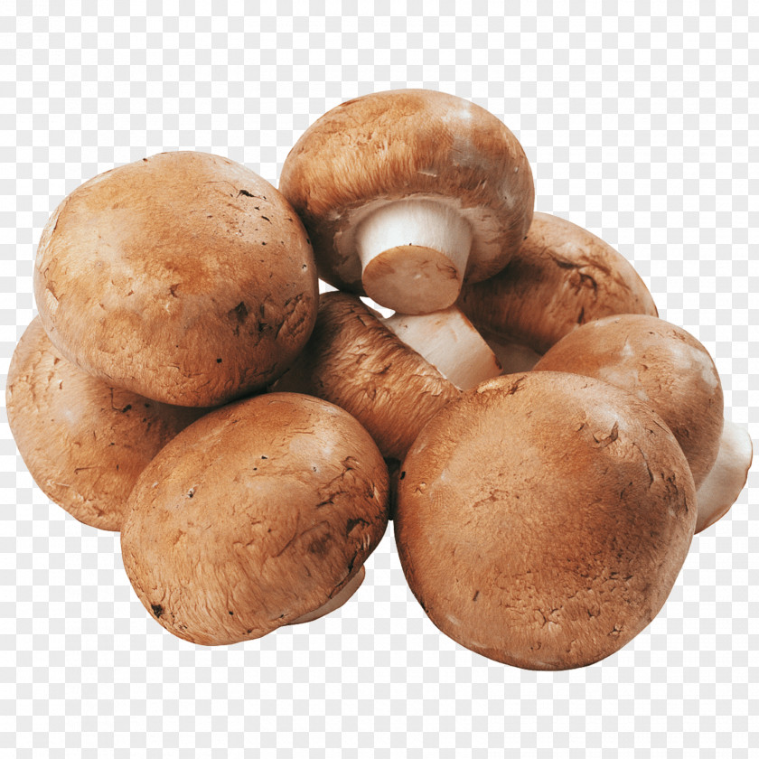 Zuchini Shiitake Common Mushroom Supermarket REWE Online Grocer PNG