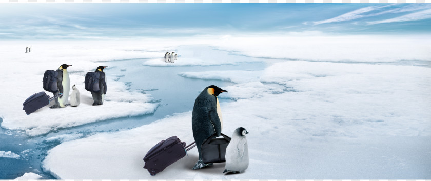 Antarctic Penguins Move Advertising Refrigerator Poster Publicity PNG
