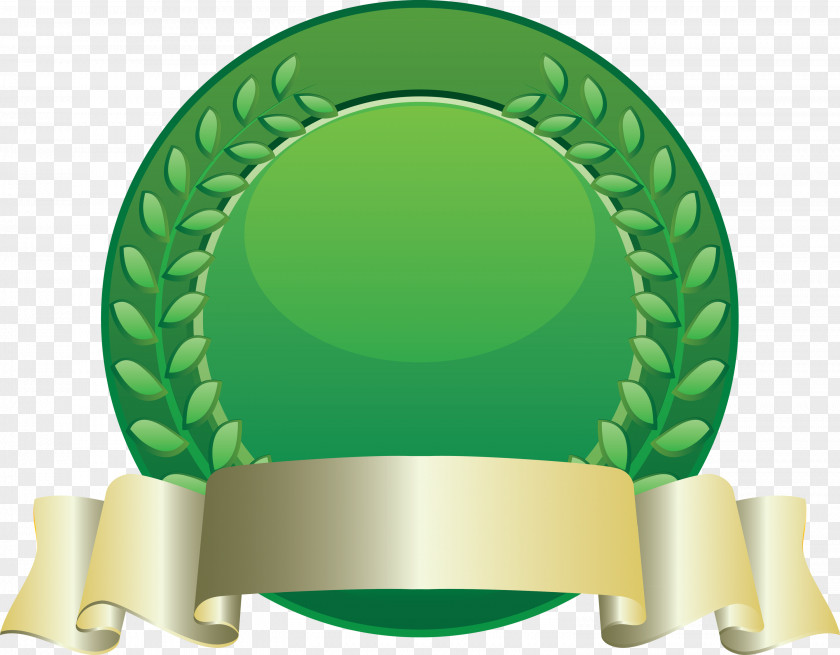 Blank Badge Award PNG