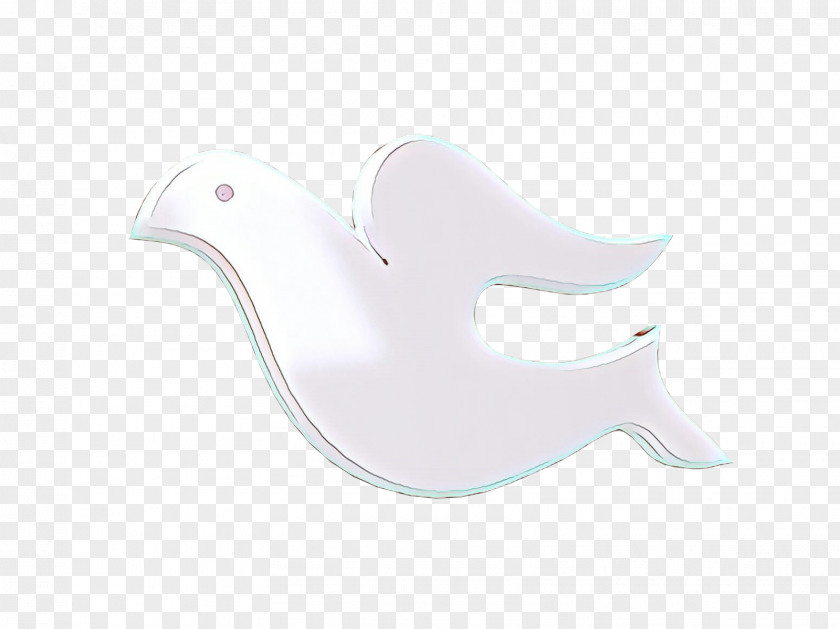 Duck White Cartoon PNG