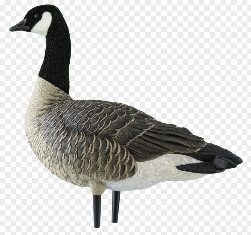 Goose Canada Duck Decoy PNG