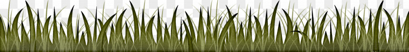 Green Grass PNG
