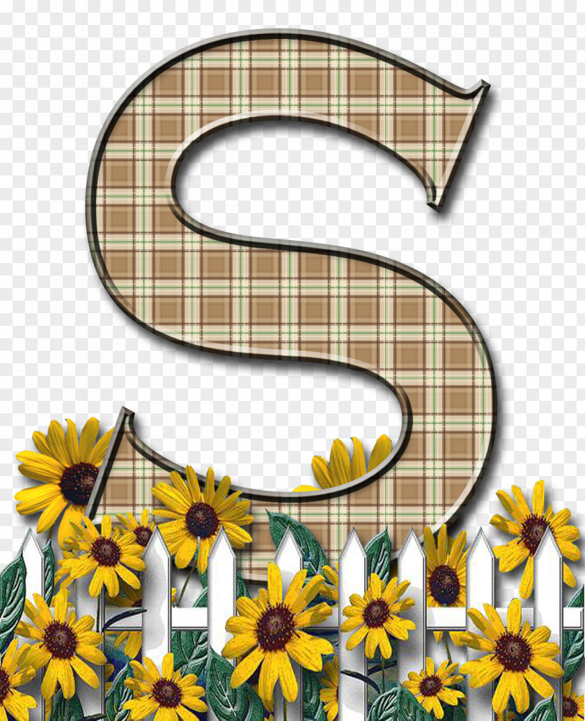 Letter Paper Case English Alphabet Flower PNG