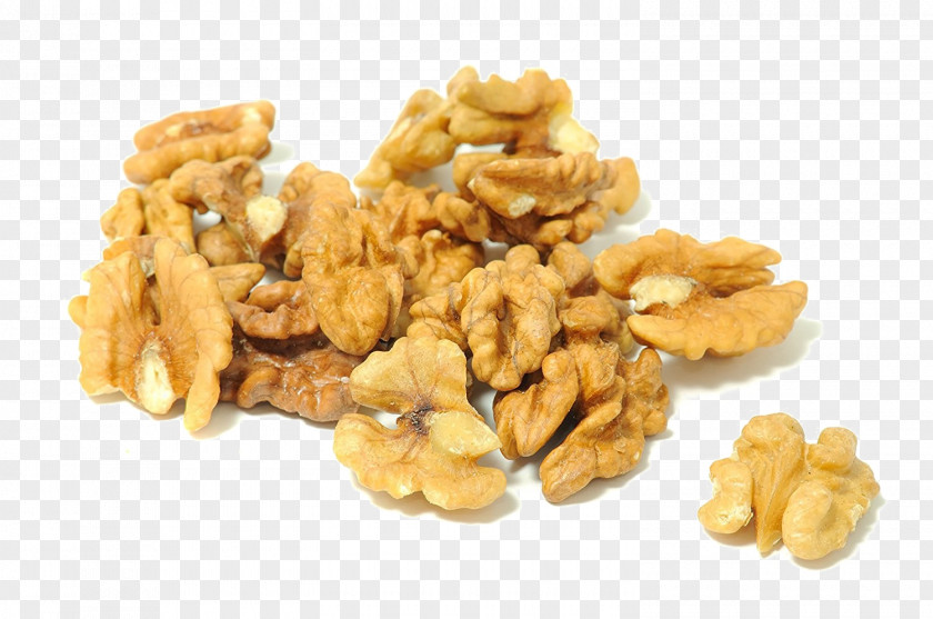 Walnut English Tree Nut Allergy Stock Photography PNG
