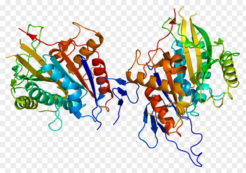 Kinetochore Cenpe Motor Protein Centromere CENPA PNG