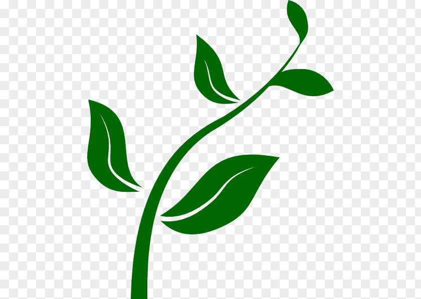 Plant Growing Cliparts From Seed To Clip Art PNG