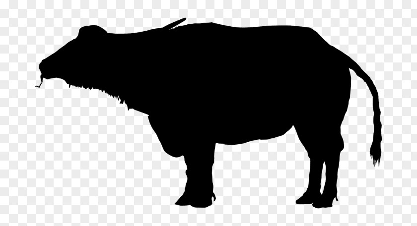 Bison Water Buffalo Silhouette Clip Art PNG