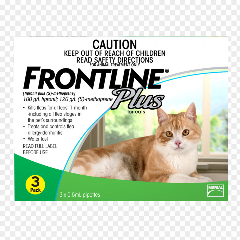 Cat Kitten Flea Treatments Dog Veterinarian PNG