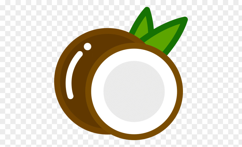 Coconut Vector Graphics Illustration Fruit PNG