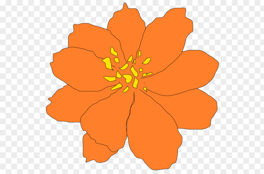 Cosmos Flower Clip Art PNG