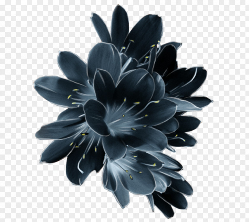 Flower Crown PNG
