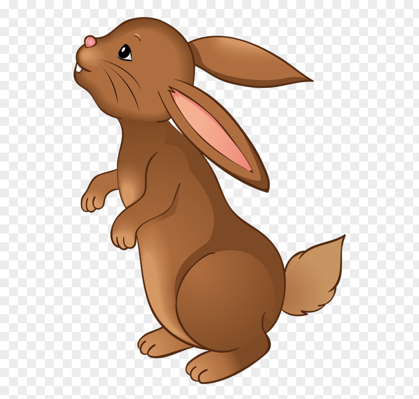 Greedy Rabbit Easter Bunny Leporids European Clip Art PNG