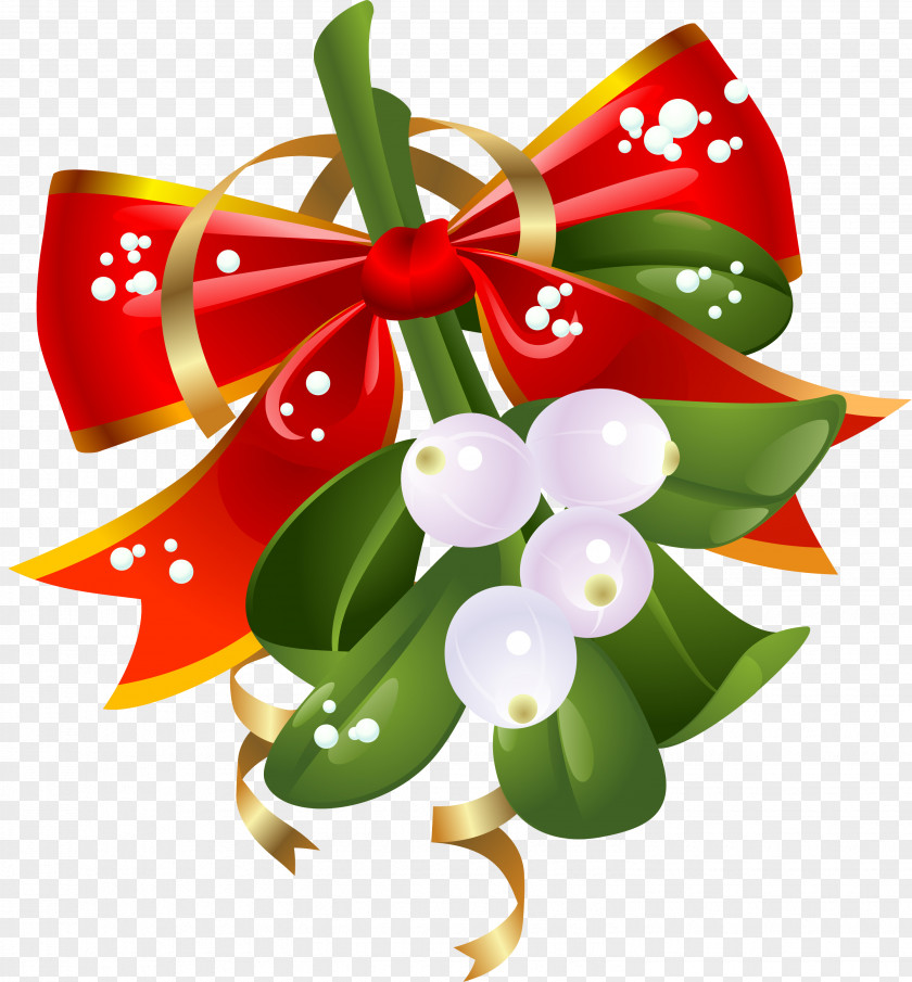 Mistletoe Christmas Decoration Holiday Clip Art PNG