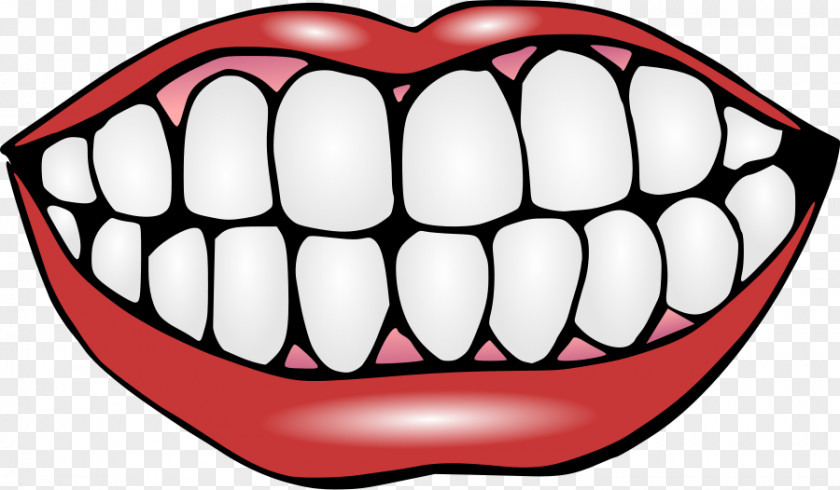 Pictures Teeth Human Tooth Mouth Smile Clip Art PNG