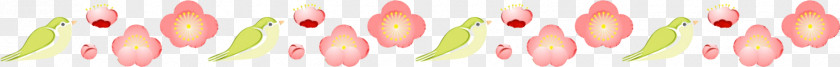 Pink Yellow Line Plant Flower PNG